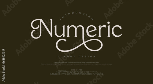Numeric Elegant alphabet letters font logo. Typography luxury classic lettering serif italic fonts decorative wedding vintage retro brand logos. vector illustration


