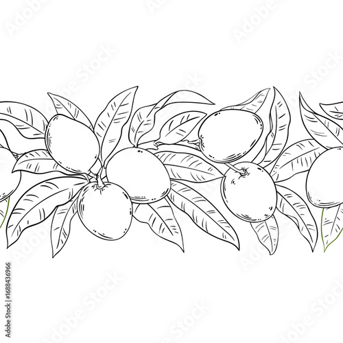 Mango Branch with Flowers, Fruits and Leaves Outline Horizontal Seamless Pattern. Organic natural nutritional healthy food ingredient, vegetarian diet product. Vector isolated for design or decoration
