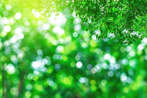 Lush green foliage, partially out of focus, with bright sunlight filtering through the leaves creating a bokeh effect, conveying a vibrant, natural atmosphere