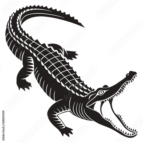 dragon on a white background