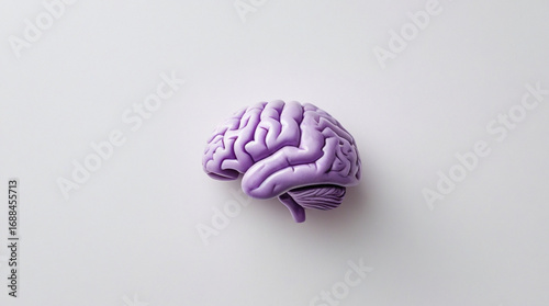 Human brain isolated on white