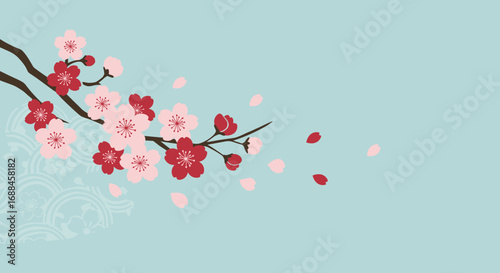 Delicate blossom branch with falling petals on light blue background