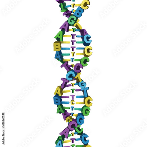 Colorful 3D DNA double helix model with alphabet letters on a white background