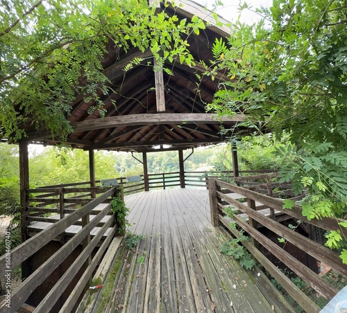 Papier peint wooden bridge in the jungle