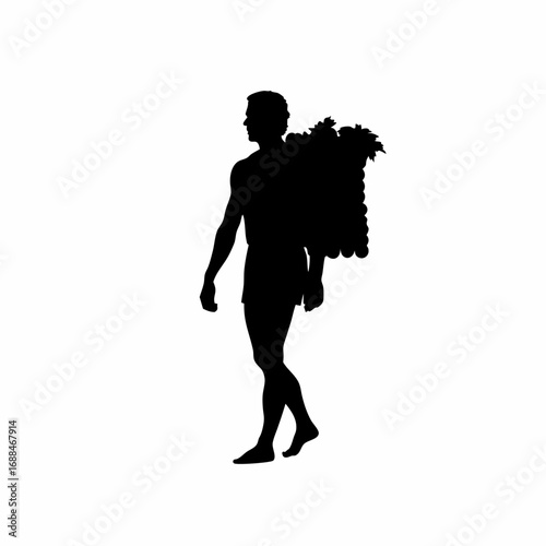 Silhouette of a farmer harvesting grapes in a vineyard