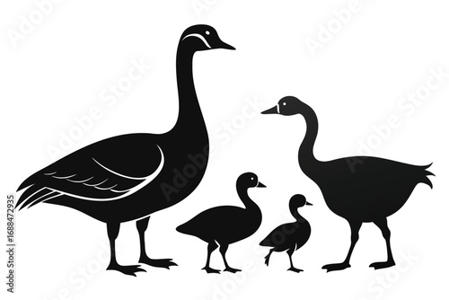 Black Silhouette Illustration of a Goose Family with Two Adults and Two Goslings