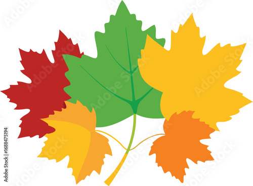 Colorful Autumn Leaves Red, Green, Yellow, and Orange Leaf Arrangement on White Background