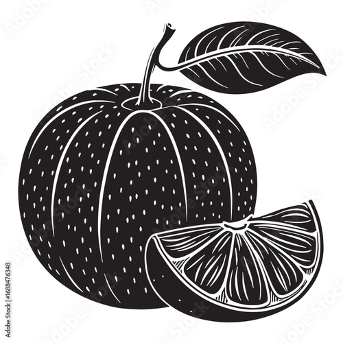 Black satsuma Silhouette Vector, High Quality Illustration on White Background