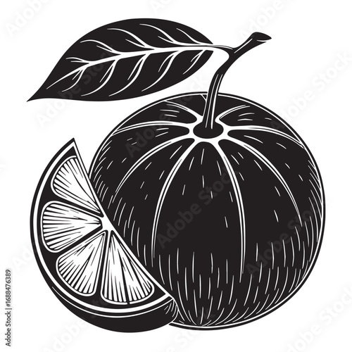 Black satsuma Silhouette Vector, High Quality Illustration on White Background