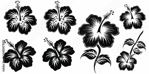 Collection of hibiscus flowers in black and white with varying sizes and petal arrangements shown clearly | editable eps vectors silhouette