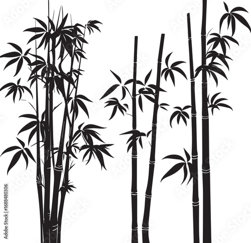 Bamboo Silhouette: A minimalist composition showcases the elegant silhouettes of bamboo stalks and leaves against a clean background, evoking a sense of tranquility and natural beauty.