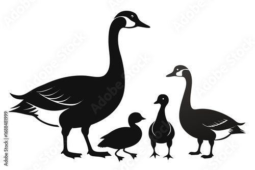 Silhouette Illustration Family of Canadian Geese, Adults with Goslings on White Background