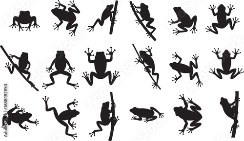 frog silhouette vector logo icon illustration design, frog logo icon silhouette, black silhouette of a frog, tree frog silhouette vector isolated on white background