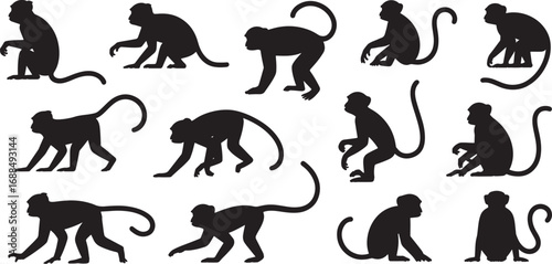 various macaque silhouettes on transparent background
