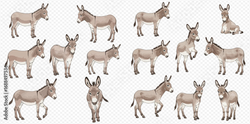 A collection of realistic gray donkey illustrations in various poses, such as standing, walking, sitting, and rearing, on a transparent background.