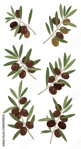 A collection of freshly harvested black olives on their branches a realistic illustration
