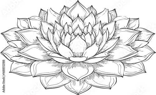 Detailed black and white line drawing of a lotus flower with multiple petals symbolizing peace and spirituality