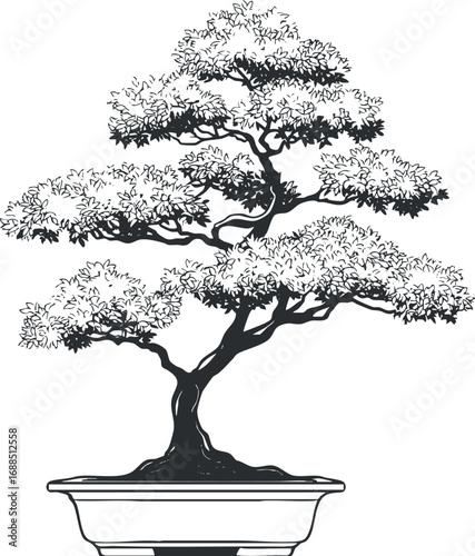 Black and white silhouette of a bonsai tree in a pot with detailed leaves and branches