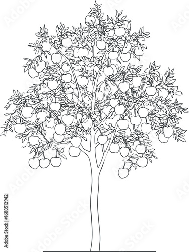 Black and white line drawing of an apple tree full of ripe apples on branches with leaves