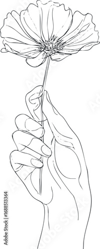 Line art illustration of a hand delicately holding a single flower with detailed petals and stem.