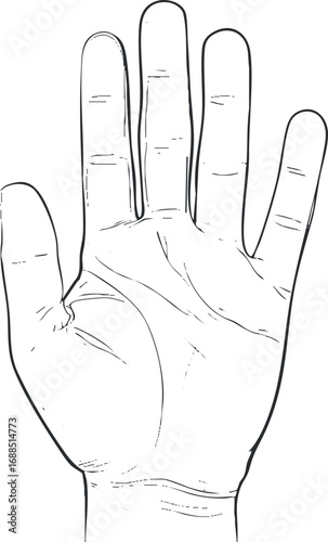 Black and white line art illustration of an open human hand palm with detailed fingers and palm lines