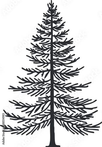 Silhouette illustration of a pine tree with detailed branches and needles isolated on white background