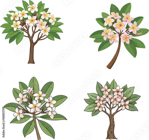 Plumeria tree illustrations, tropical flower trees, frangipani blossom graphics, floral vector art, exotic garden decor, nature botanical clipart, bloom design