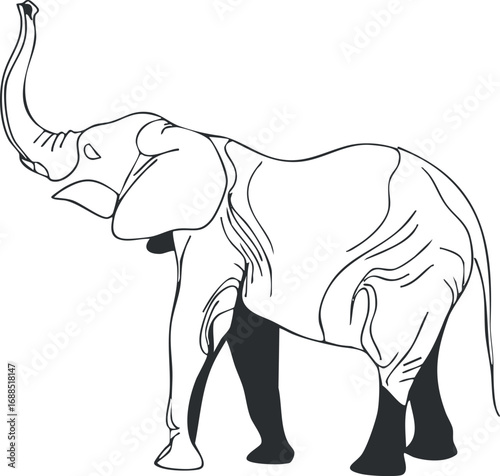 Black and white line drawing of an elephant with raised trunk showing detailed wrinkles and anatomy