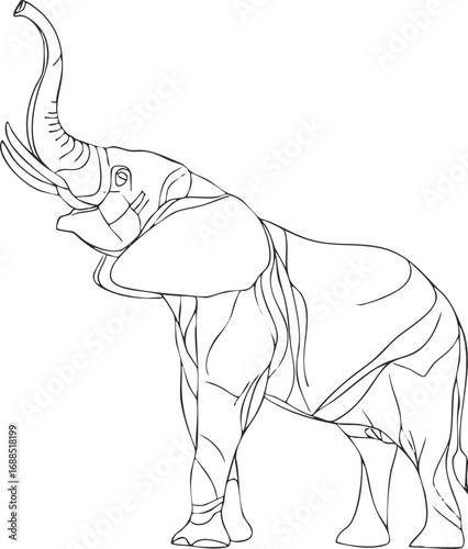 Black and white outline drawing of an elephant with raised trunk showing detailed body contours and tusks