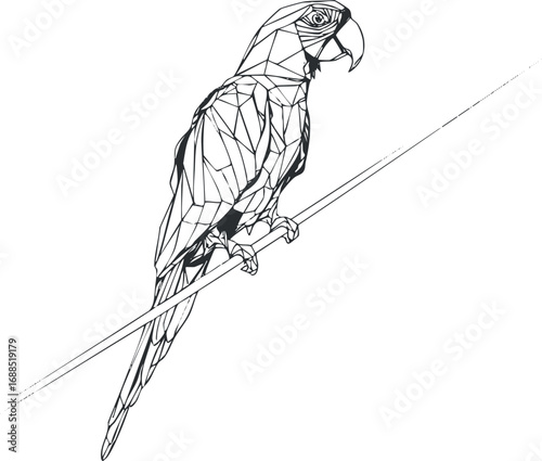 Black and white geometric line art illustration of a parrot perched on a branch with detailed beak and feathers