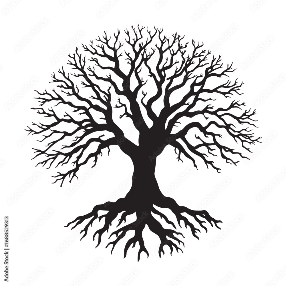 Obraz premium Large Tree with Exposed Roots Silhouette