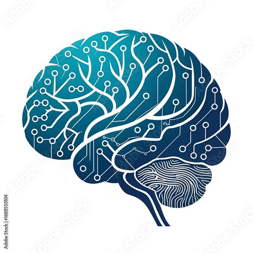 human brain  illustration