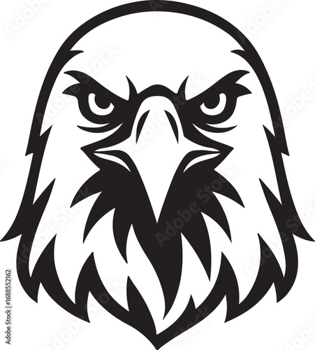 Owl head with piercing gaze