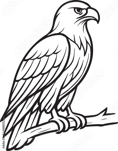 Grounded falcon with poised stance