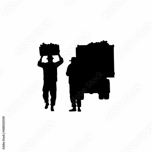 Silhouette of farm workers harvesting grapes and loading them onto a truck