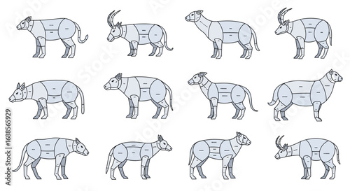 Understanding different meat cuts from various farm animals and livestock breeds