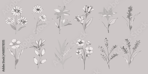 Collection of delicate hand drawn botanical illustrations of various flowers and leaves in monochromatic tones