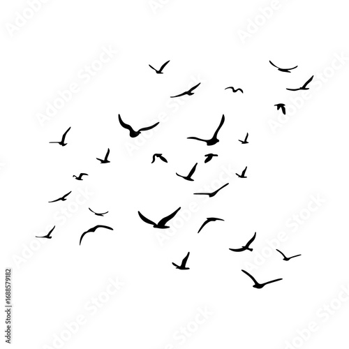 A flock of flying silhouette birds. Black on white background. Vector