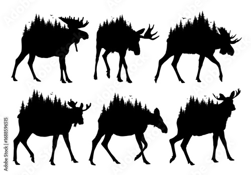 Set wild moose silhouettes with coniferous forest.