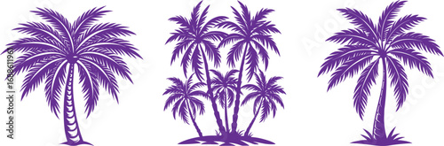 A stunning tropical beach sunset vector illustration with a palm tree silhouette