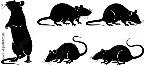 vector set, Silhouettes of rats