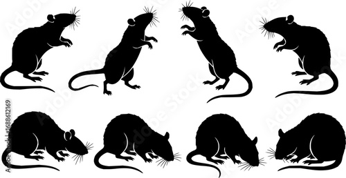 vector set, Silhouettes of rats