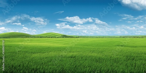 The vibrant green field under a clear blue sky with gentle hills.