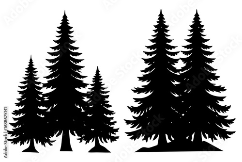 Pine forest landscape silhouette vector