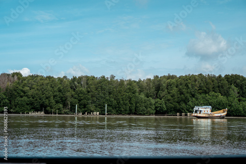 A solitary boat moored beside a lush mangrove forest.