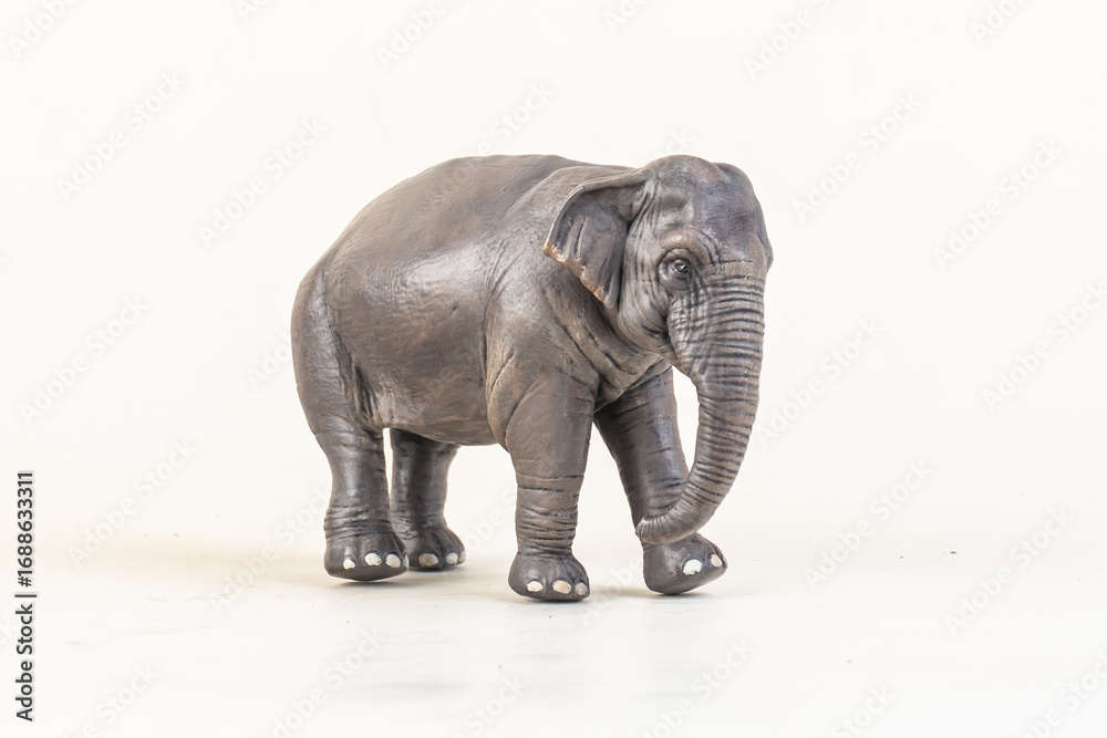 Obraz premium asian elephant on isolated background