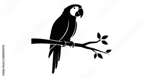 A tropical black parrot with a yellow beak and feathers sits on a branch, a vector illustration of a wild bird