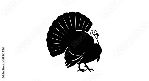 Majestic turkey displays fanned tail feathers proudly, an iconic symbol of harvest and celebration