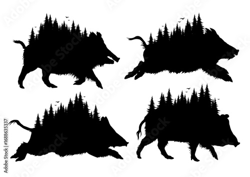Wild boar silhouettes with coniferous forest.