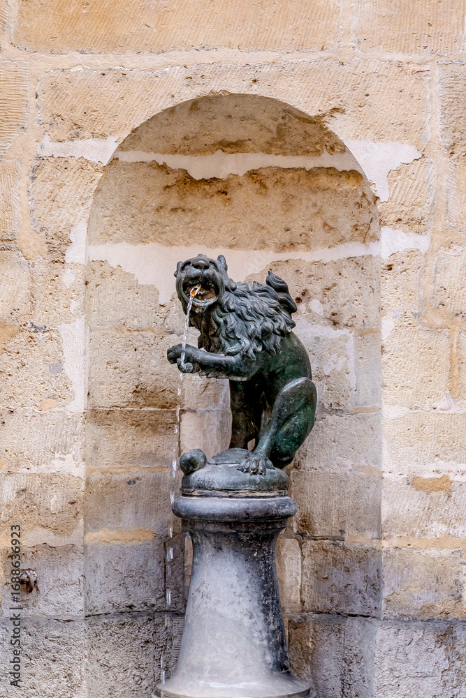 Naklejka premium Fontaine de Bruxelles